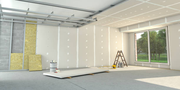 Best Insulation Removal Services  in Palm Valley, FL